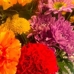 Meet your Posher, April